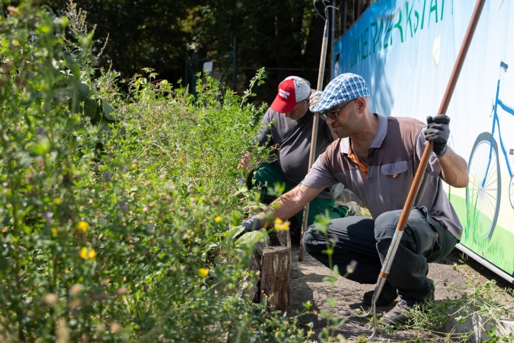 2 Ebene_Betreuung und Tätigkeiten